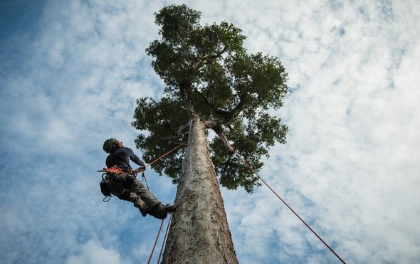 19C672FB-E583-461E-B219C93AF27BB73E